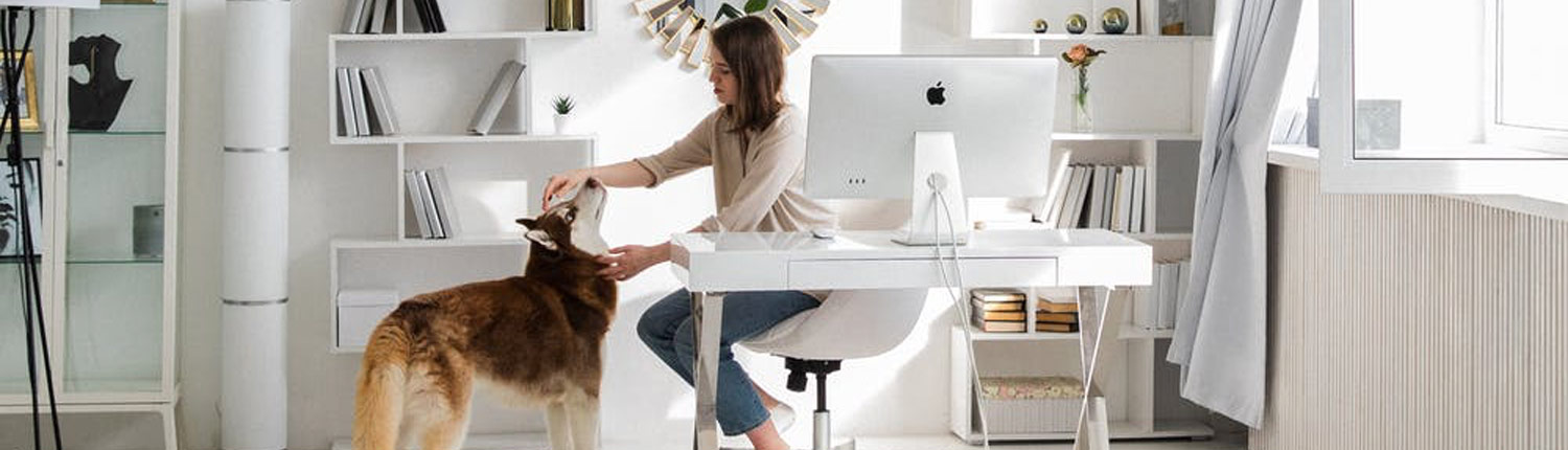 Thuiswerken Productiever